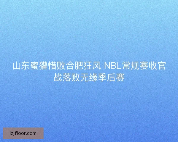 山东蜜獾惜败合肥狂风 NBL常规赛收官战落败无缘季后赛 山东蜜獾惜败合肥狂风 NBL常规赛收官战落败无缘季后赛